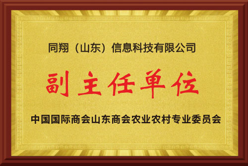同翔信息科技奖项证书
